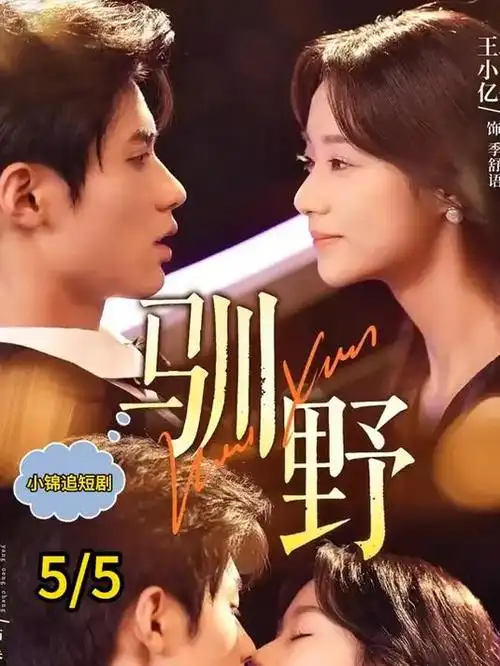 镜中记 丁度电影全集镜面构图